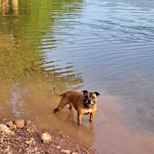 Neya à l’adoption, #3