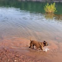 Neya à l’adoption, #2