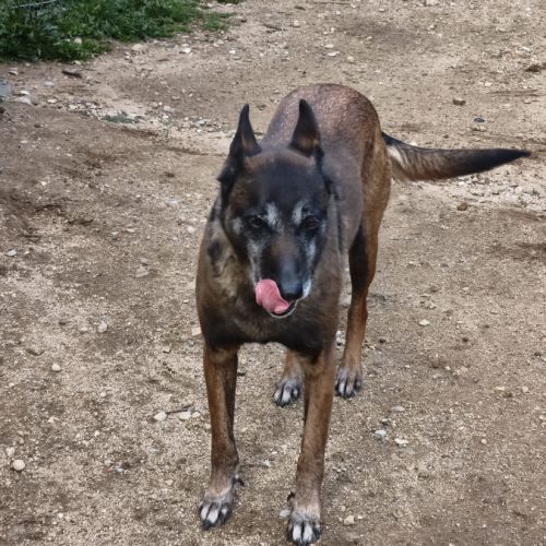 Win à l'adoption #2