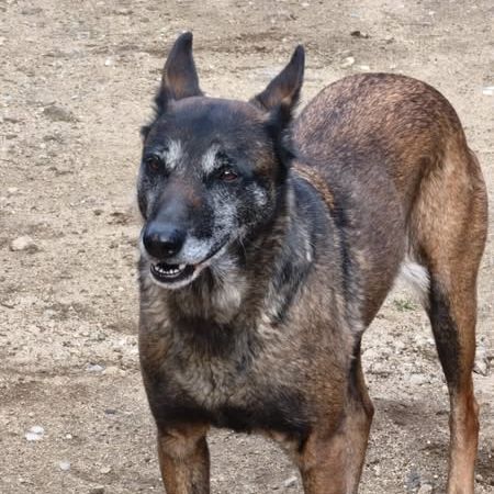 Win à l'adoption #3