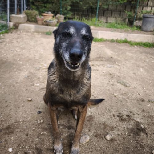 Win à l'adoption #5