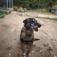 Win à l'adoption #1