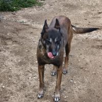 Win à l'adoption #2