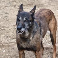 Win à l'adoption #3