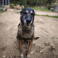 Win à l'adoption #5