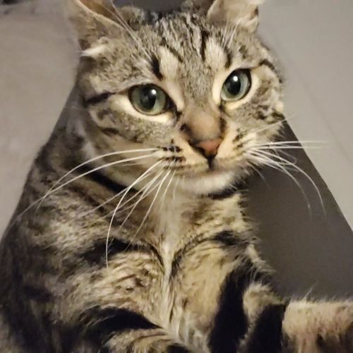 Prunelle cherche ses adoptants #3