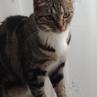 Prunelle cherche ses adoptants #2