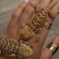 Bébés pogonas viticeps