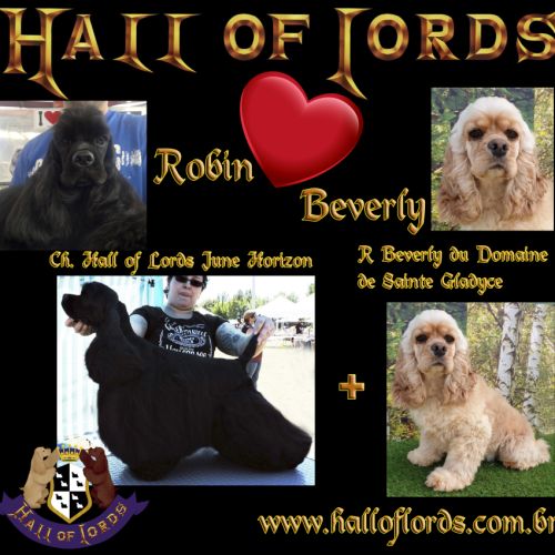 Magnifiques chiots de cocker spaniel américain #0