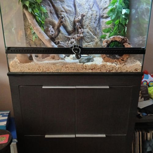 Terrarium exoterra + meuble & accessoires + 2 serp