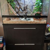 Terrarium exoterra + meuble & accessoires + 2 serp