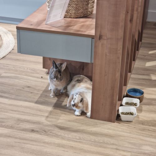 Boule de poil gourmande #3