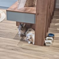 Boule de poil gourmande #3