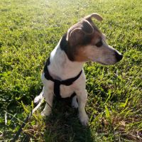 Objet : recherche d’un hébergement bienveillant po #0