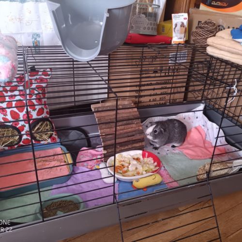 Kida attends une nouvelle famille #3