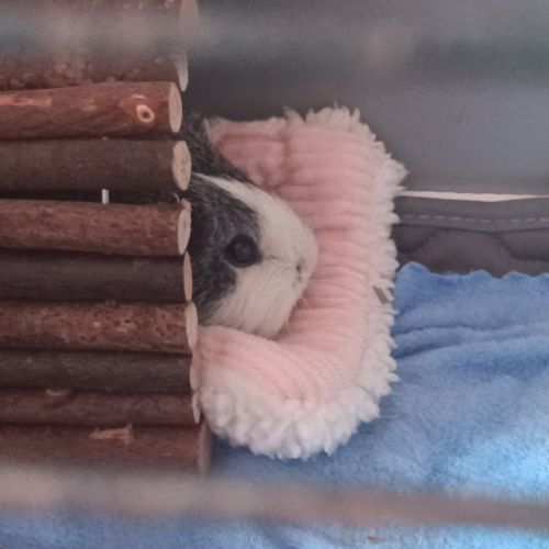 Kida attends une nouvelle famille #5