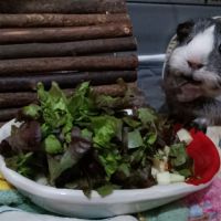 Kida attends une nouvelle famille #1