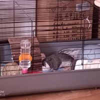 Kida attends une nouvelle famille