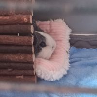 Kida attends une nouvelle famille #5