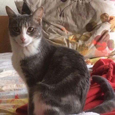 Mélie à l'adoption #2