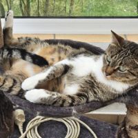 Hagrid cherche sa famille #3