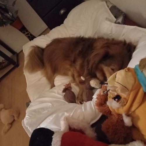 Nelly recherche une famille bienveillante #2