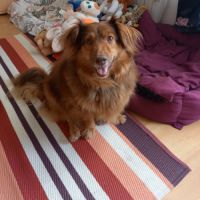 Nelly recherche une famille bienveillante #1