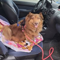 Nelly recherche une famille bienveillante #3