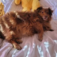 Nelly recherche une famille bienveillante