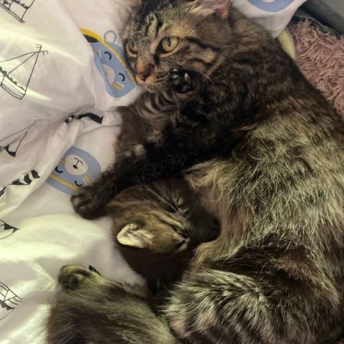 Grâce à la réservation, #2