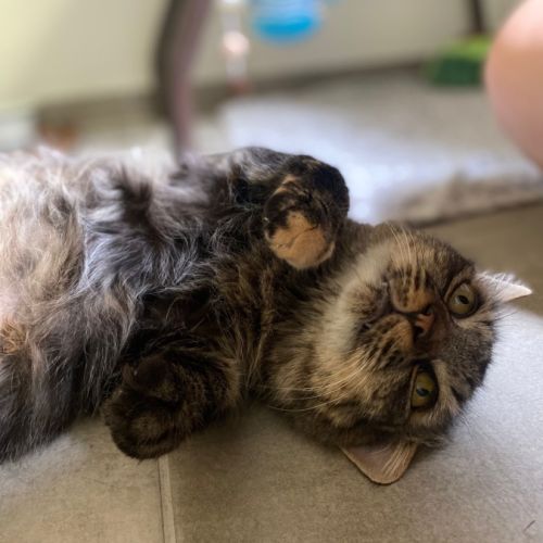 Grâce à la réservation,