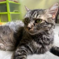 Grâce à la réservation, #1