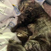 Grâce à la réservation, #2