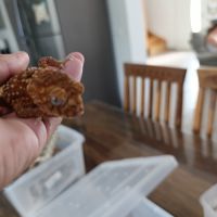 Nephrurus amyae male #0