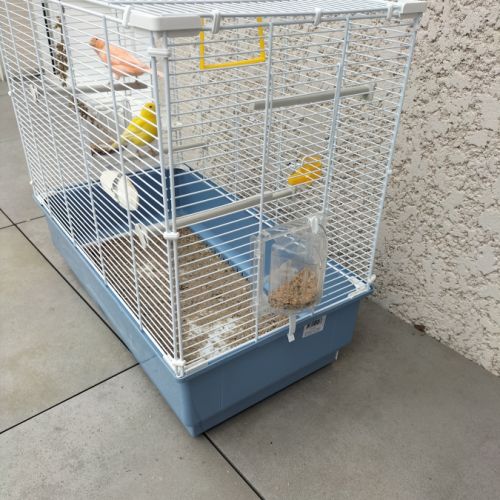 Couple de canaris et sa cage #3