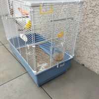 Couple de canaris et sa cage #3