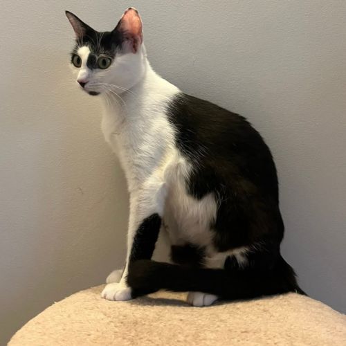 Nahla la douce et délicat