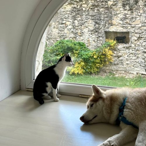 Nahla la douce et délicat #3