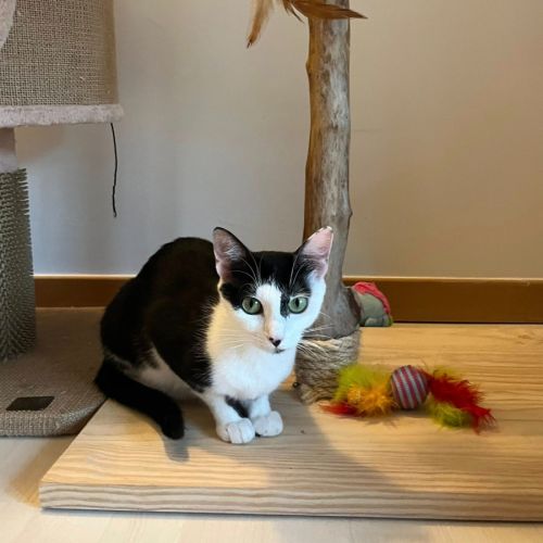 Nahla la douce et délicat #4