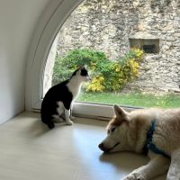 Nahla la douce et délicat #3