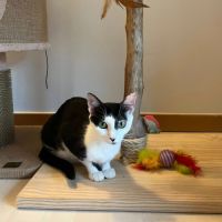 Nahla la douce et délicat #4