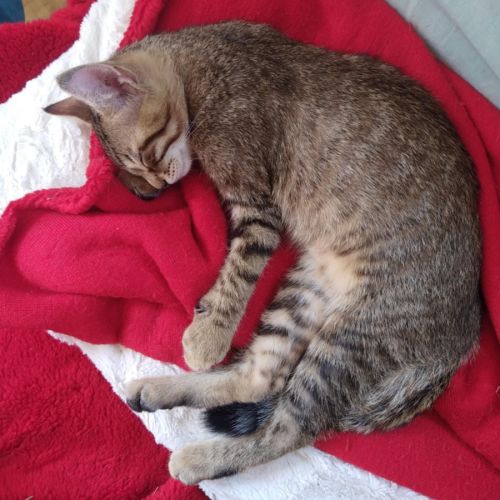 Ishino energie et douceur #1