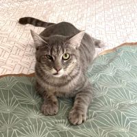 Kairo le courageux rempli d'amour #2