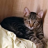 Darkboy, très très câlin #1