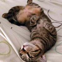 Darkboy, très très câlin #2