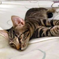 Darkboy, très très câlin #0