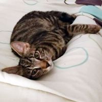 Darkboy, très très câlin #4