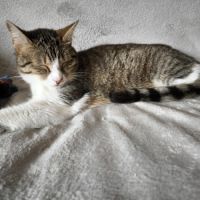 Happy & kiara  frère et soeur en double adoption #2