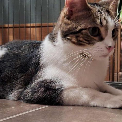 Crapulette-junior adorable #1