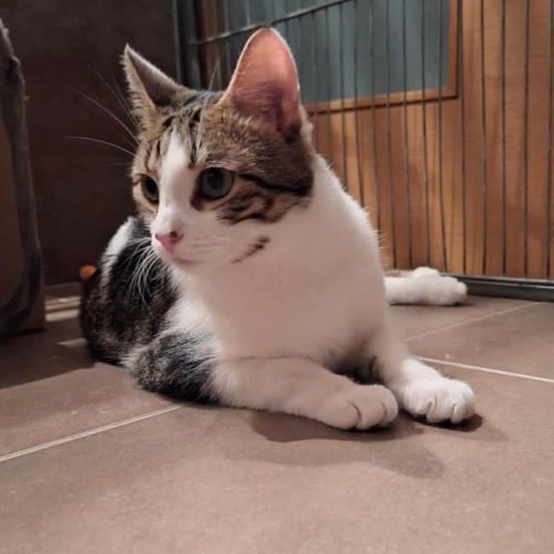 Crapulette-junior adorable